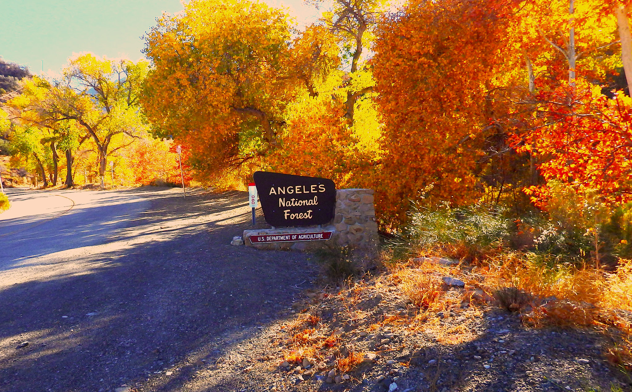 Angeles National Forest