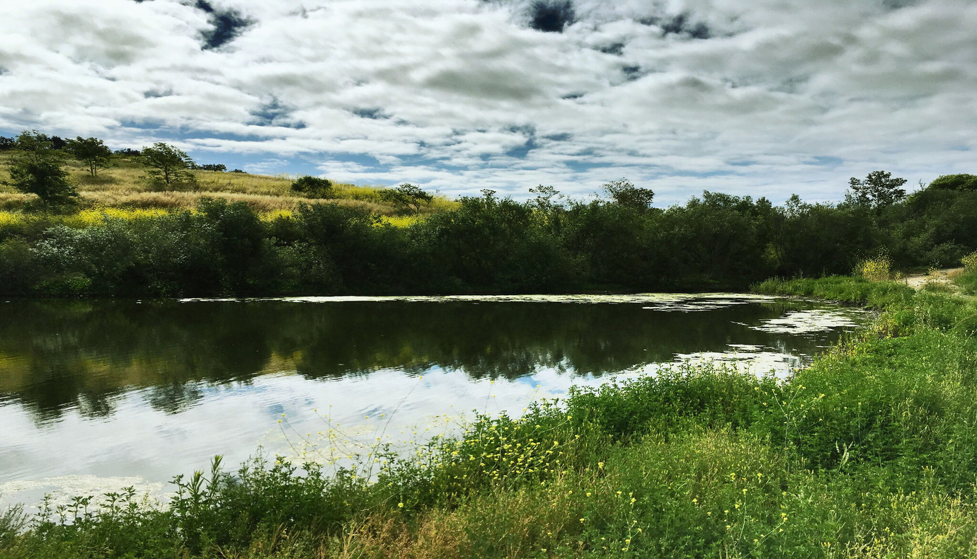 Bommer Canyon, Irvine