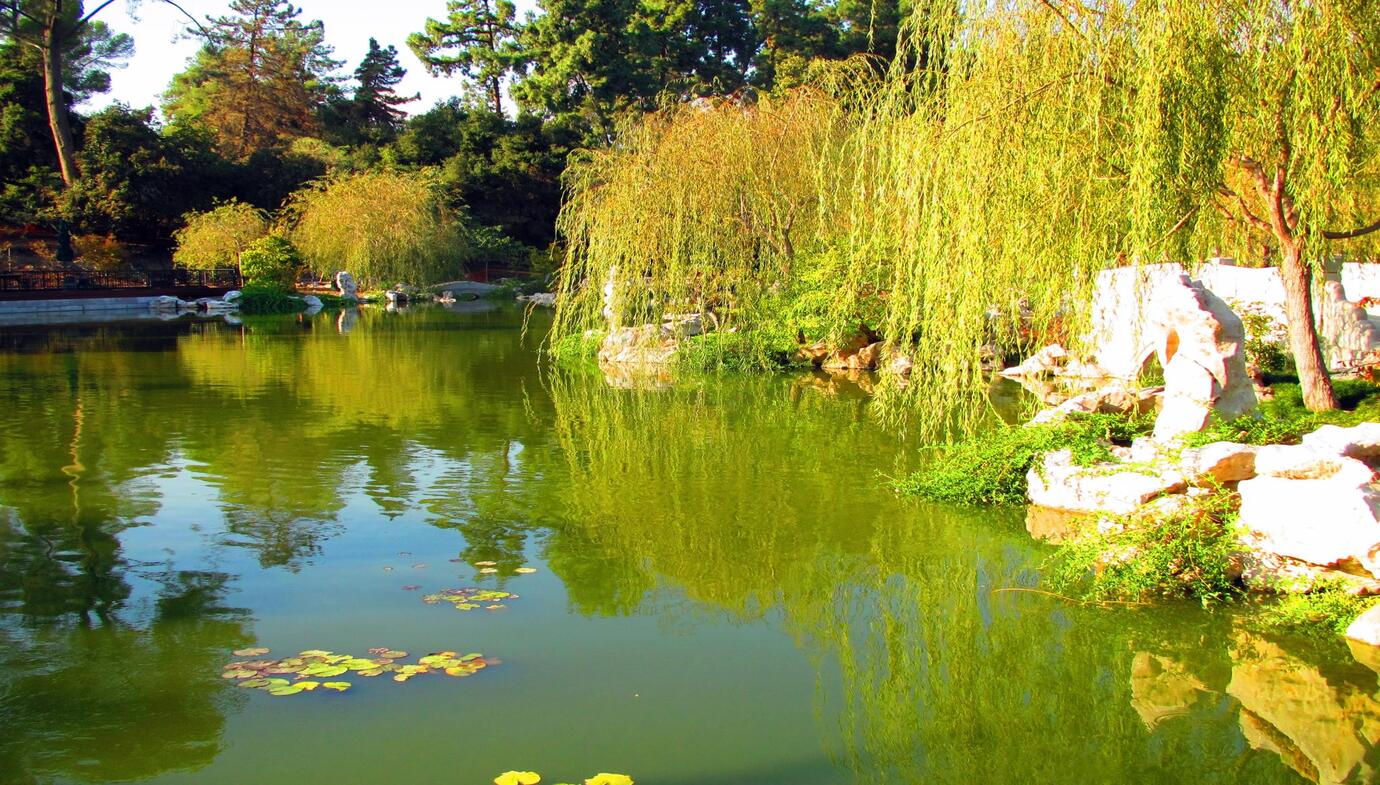Huntington Library and Gardens